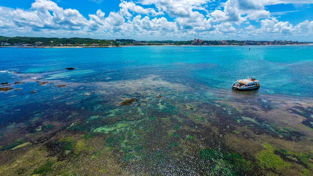 O Maior Cajueiro do Mundo em Pirangi: Curiosidades, Visitação e Rota Conjugada